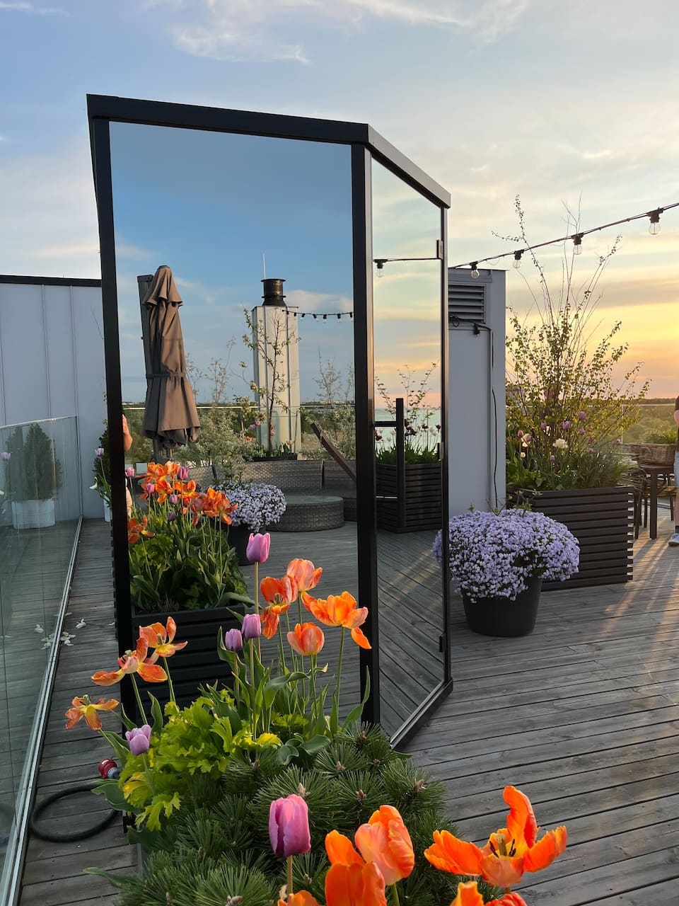 MINI - Skotlanti Store